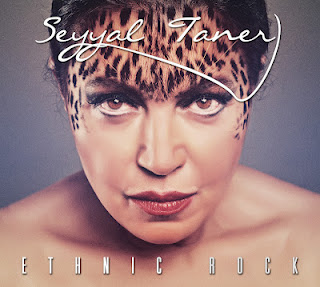 Seyyal Taner “Ethnic Rock” ile&nbsp;dönüyor!