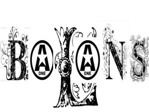 560355_490114277715219_260367576_n