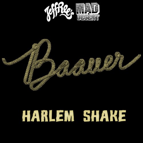 Baauer-Harlem-Shake-500x500