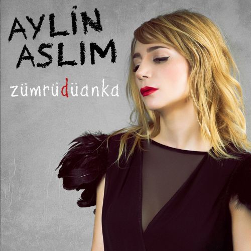 aylin_aslim